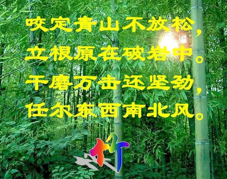 任尔东西南北风是什么意思