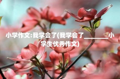 小学作文:我学会了(我学会了________小学生优秀作文)