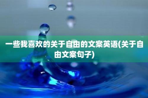 一些我喜欢的关于自由的文案英语(关于自由文案句子)