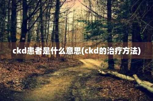 ckd患者是什么意思(ckd的治疗方法)