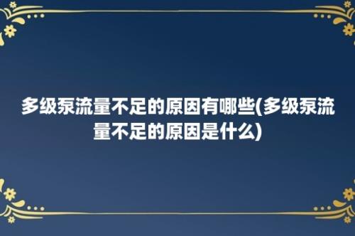 多级泵流量不足的原因有哪些(多级泵流量不足的原因是什么)