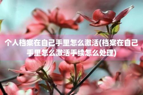 个人档案在自己手里怎么激活(档案在自己手里怎么激活手续怎么处理)