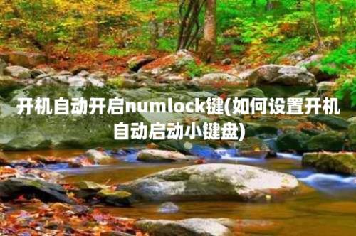 开机自动开启numlock键(如何设置开机自动启动小键盘)