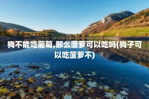 狗不能吃葡萄,那么菠萝可以吃吗(狗子可以吃菠萝不)