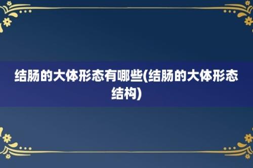 结肠的大体形态有哪些(结肠的大体形态结构)