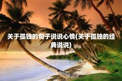 关于孤独的句子说说心情(关于孤独的经典说说)