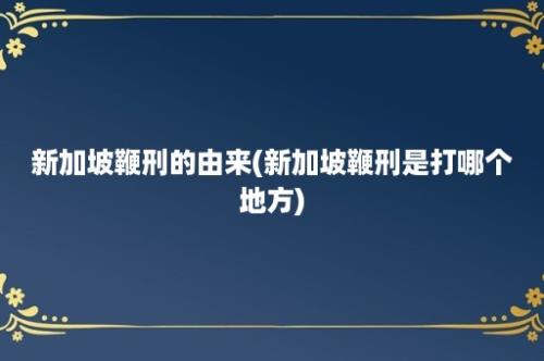 新加坡鞭刑的由来(新加坡鞭刑是打哪个地方)