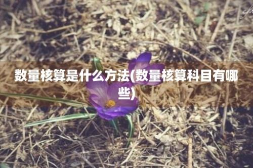 数量核算是什么方法(数量核算科目有哪些)