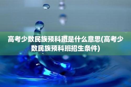 高考少数民族预科班是什么意思(高考少数民族预科班招生条件)