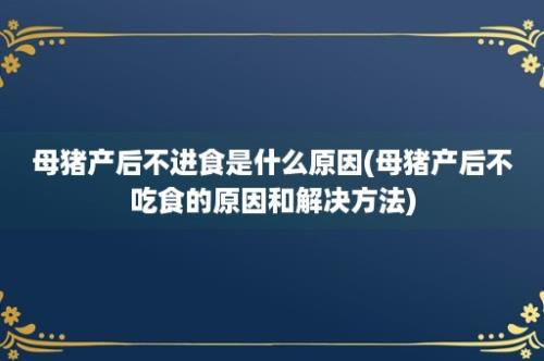 母猪产后不进食是什么原因(母猪产后不吃食的原因和解决方法)