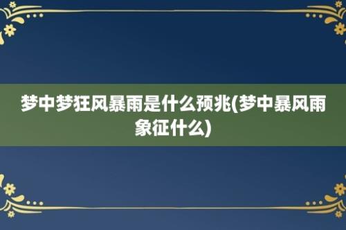 梦中梦狂风暴雨是什么预兆(梦中暴风雨象征什么)