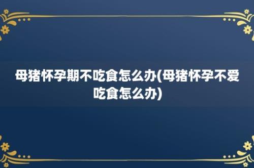 母猪怀孕期不吃食怎么办(母猪怀孕不爱吃食怎么办)