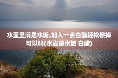 水壶里满是水垢,加入一点白醋轻松擦掉可以吗(水壶除水垢 白醋)