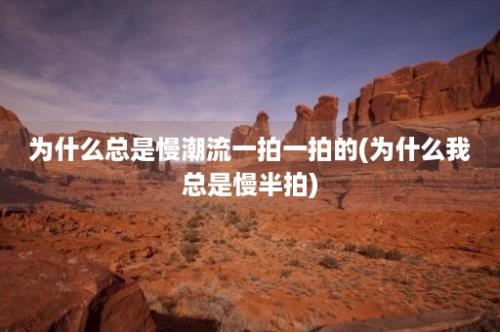 为什么总是慢潮流一拍一拍的(为什么我总是慢半拍)