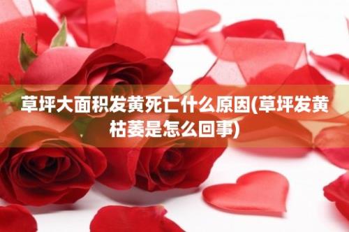 草坪大面积发黄死亡什么原因(草坪发黄枯萎是怎么回事)