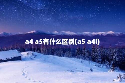 a4 a5有什么区别(a5 a4l)