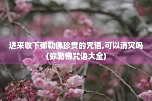 进来收下弥勒佛珍贵的咒语,可以消灾吗(弥勒佛咒语大全)