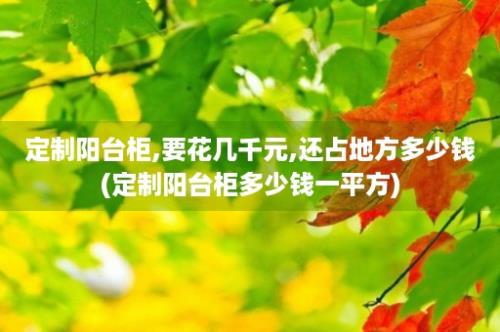 定制阳台柜,要花几千元,还占地方多少钱(定制阳台柜多少钱一平方)