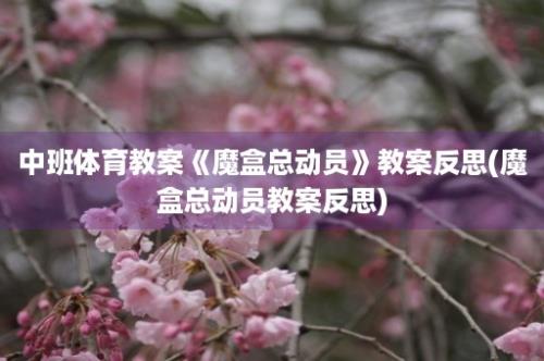 中班体育教案《魔盒总动员》教案反思(魔盒总动员教案反思)