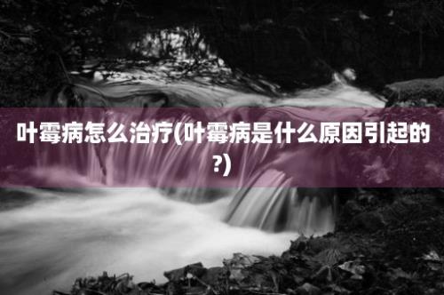 叶霉病怎么治疗(叶霉病是什么原因引起的?)