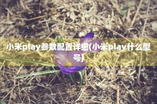 小米play参数配置详细(小米play什么型号)