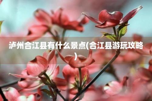 泸州合江县有什么景点(合江县游玩攻略)