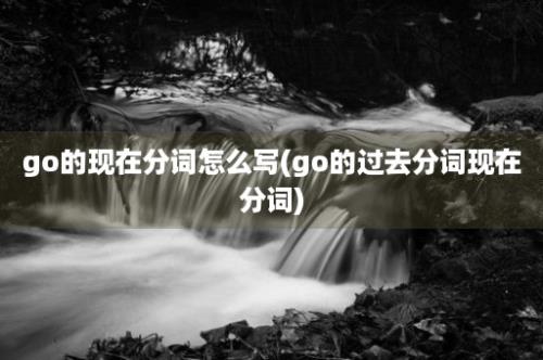 go的现在分词怎么写(go的过去分词现在分词)