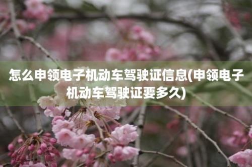 怎么申领电子机动车驾驶证信息(申领电子机动车驾驶证要多久)