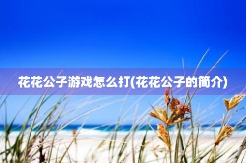 花花公子游戏怎么打(花花公子的简介)