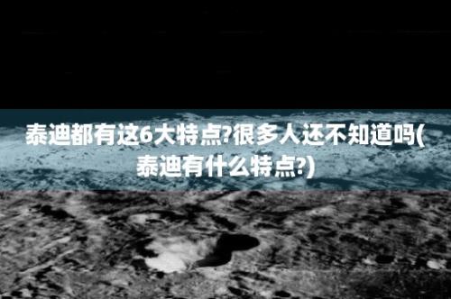 泰迪都有这6大特点?很多人还不知道吗(泰迪有什么特点?)