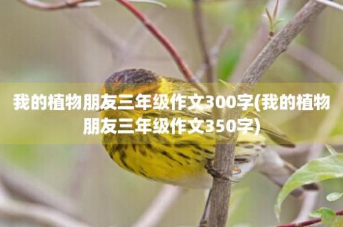 我的植物朋友三年级作文300字(我的植物朋友三年级作文350字)