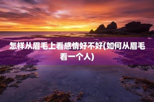 怎样从眉毛上看感情好不好(如何从眉毛看一个人)