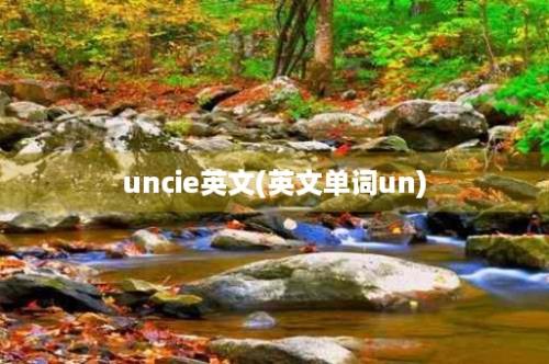 uncie英文(英文单词un)