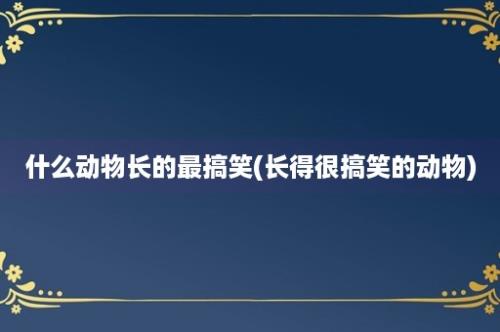 什么动物长的最搞笑(长得很搞笑的动物)