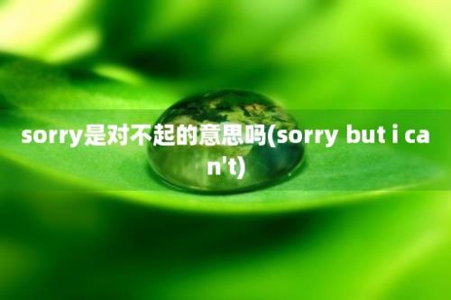 sorry是对不起的意思吗(sorry but i can't)