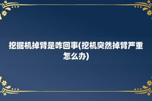 挖掘机掉臂是咋回事(挖机突然掉臂严重怎么办)