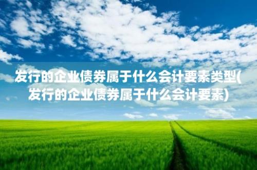 发行的企业债券属于什么会计要素类型(发行的企业债券属于什么会计要素)