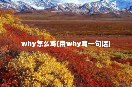 why怎么写(用why写一句话)