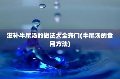 滋补牛尾汤的做法大全窍门(牛尾汤的食用方法)