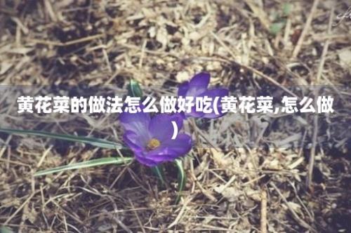 黄花菜的做法怎么做好吃(黄花菜,怎么做)