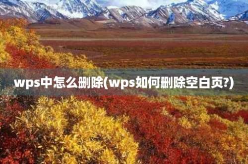 wps中怎么删除(wps如何删除空白页?)