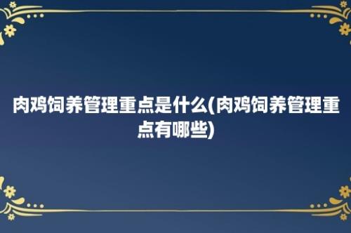 肉鸡饲养管理重点是什么(肉鸡饲养管理重点有哪些)