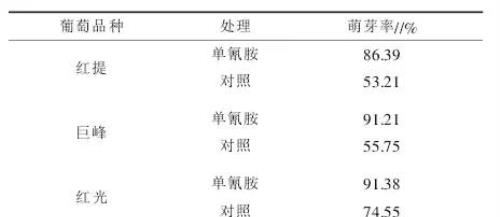 单氰胺在葡萄种植上到底怎么用，为啥有些农户用了出现药害？