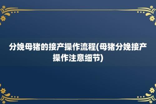 分娩母猪的接产操作流程(母猪分娩接产操作注意细节)