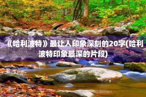 《哈利波特》最让人印象深刻的20字(哈利波特印象最深的片段)