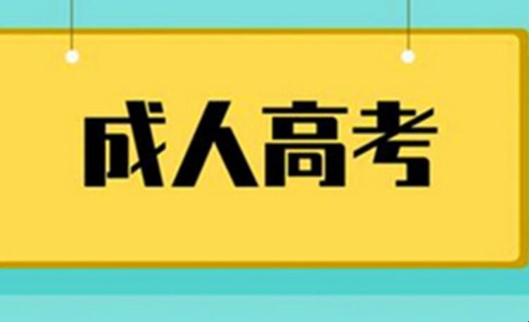 成人考可以报哪些学校