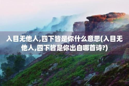 入目无他人,四下皆是你什么意思(入目无他人,四下皆是你出自哪首诗?)