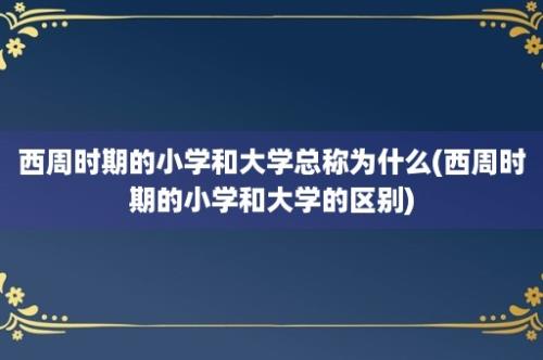 西周时期的小学和大学总称为什么(西周时期的小学和大学的区别)