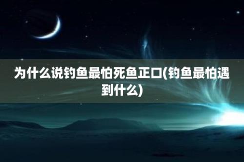 为什么说钓鱼最怕死鱼正口(钓鱼最怕遇到什么)