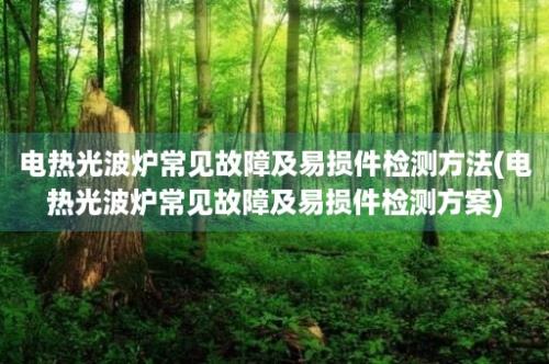 电热光波炉常见故障及易损件检测方法(电热光波炉常见故障及易损件检测方案)